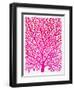 Pink and Ombre Fan Coral-Cat Coquillette-Framed Giclee Print