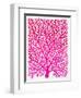 Pink and Ombre Fan Coral-Cat Coquillette-Framed Giclee Print