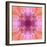 Pink and orange abstract.-Jaynes Gallery-Framed Photographic Print