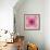 Pink and orange abstract.-Jaynes Gallery-Framed Photographic Print displayed on a wall