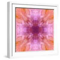 Pink and orange abstract.-Jaynes Gallery-Framed Photographic Print