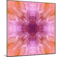 Pink and orange abstract.-Jaynes Gallery-Mounted Photographic Print