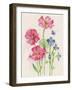 Pink and Purple Flowers-ZPR Int’L-Framed Giclee Print