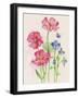 Pink and Purple Flowers-ZPR Int’L-Framed Giclee Print