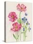 Pink and Purple Flowers-ZPR Int’L-Stretched Canvas