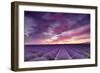 Pink and Purple-Michael Blanchette-Framed Photographic Print