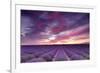 Pink and Purple-Michael Blanchette-Framed Photographic Print