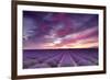 Pink and Purple-Michael Blanchette-Framed Photographic Print