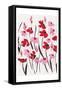 Pink and Red Field I-Beverly Dyer-Framed Stretched Canvas