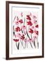 Pink and Red Field I-Beverly Dyer-Framed Art Print