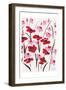 Pink and Red Field II-Beverly Dyer-Framed Art Print