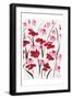 Pink and Red Field II-Beverly Dyer-Framed Art Print