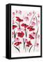 Pink and Red Field II-Beverly Dyer-Framed Stretched Canvas