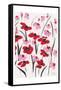 Pink and Red Field II-Beverly Dyer-Framed Stretched Canvas