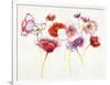 Pink and Red Somniferums-Shirley Novak-Framed Art Print