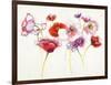 Pink and Red Somniferums-Shirley Novak-Framed Art Print