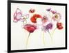 Pink and Red Somniferums-Shirley Novak-Framed Art Print