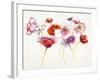 Pink and Red Somniferums-Shirley Novak-Framed Art Print