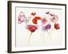 Pink and Red Somniferums-Shirley Novak-Framed Art Print