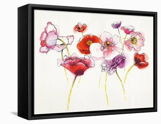 Pink and Red Somniferums-Shirley Novak-Framed Stretched Canvas