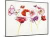 Pink and Red Somniferums-Shirley Novak-Mounted Art Print