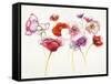 Pink and Red Somniferums-Shirley Novak-Framed Stretched Canvas