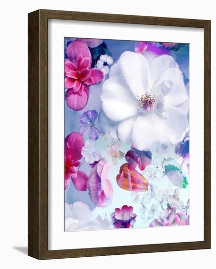 Pink and White Blossoms in Blue Water-Alaya Gadeh-Framed Photographic Print