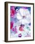 Pink and White Blossoms in Blue Water-Alaya Gadeh-Framed Photographic Print