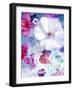 Pink and White Blossoms in Blue Water-Alaya Gadeh-Framed Photographic Print