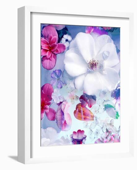 Pink and White Blossoms in Blue Water-Alaya Gadeh-Framed Photographic Print