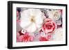 Pink and White Blossoms in Water-Alaya Gadeh-Framed Photographic Print