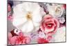 Pink and White Blossoms in Water-Alaya Gadeh-Mounted Photographic Print