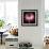 Pink and White Dahlia on Black-Tom Quartermaine-Framed Giclee Print displayed on a wall
