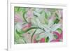 Pink and White Lilies I-Sandra Iafrate-Framed Art Print