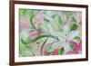 Pink and White Lilies I-Sandra Iafrate-Framed Art Print