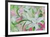 Pink and White Lilies I-Sandra Iafrate-Framed Art Print