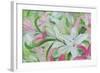 Pink and White Lilies I-Sandra Iafrate-Framed Art Print