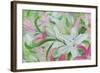 Pink and White Lilies I-Sandra Iafrate-Framed Art Print