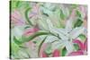 Pink and White Lilies I-Sandra Iafrate-Stretched Canvas