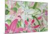 Pink and White Lilies II-Sandra Iafrate-Mounted Art Print