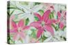 Pink and White Lilies III-Sandra Iafrate-Stretched Canvas