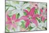 Pink and White Lilies III-Sandra Iafrate-Mounted Premium Giclee Print