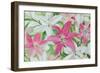 Pink and White Lilies III-Sandra Iafrate-Framed Art Print