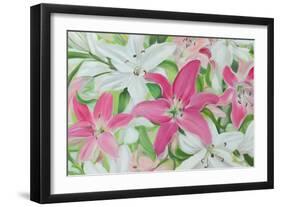 Pink and White Lilies III-Sandra Iafrate-Framed Art Print