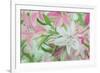 Pink and White Lilies IV-Sandra Iafrate-Framed Art Print