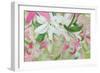 Pink and White Lilies V-Sandra Iafrate-Framed Art Print