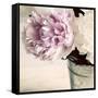 Pink and White Peonies in a Vase-Tom Quartermaine-Framed Stretched Canvas