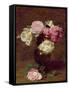 Pink and White Roses-Henri Fantin-Latour-Framed Stretched Canvas