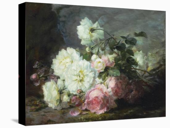 Pink and White Roses-Andre Perrachon-Stretched Canvas