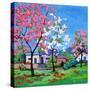 Pink and Yellow Blossoms on a Blue Sky-Patty Baker-Stretched Canvas